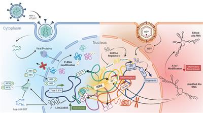 Editorial: Long non-coding RNAs in viral infections and immunity